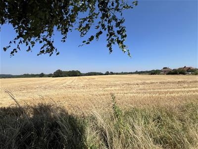 Picture 30
